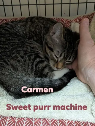 Carmen