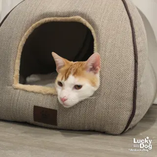 Tom