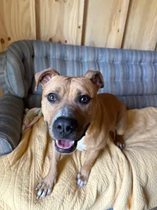 Tater