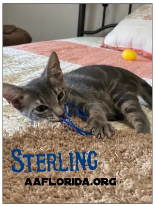 Sterling