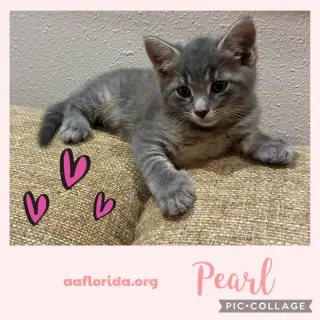 Pearl