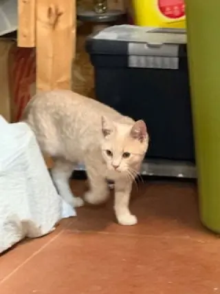 Oliver P