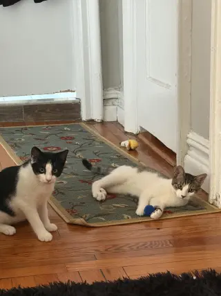 Suki & Sokka