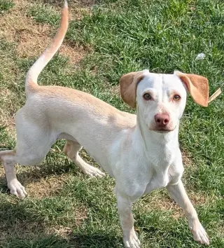 Chloe