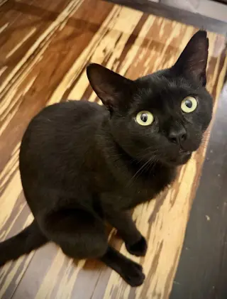 Peter