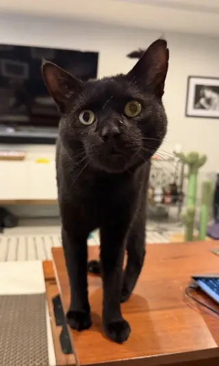Peter