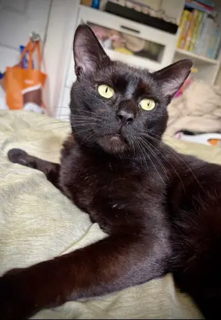 Peter