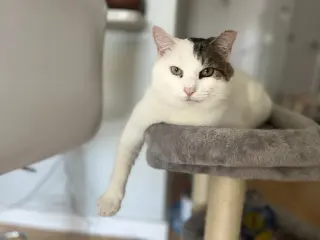 Ozzy