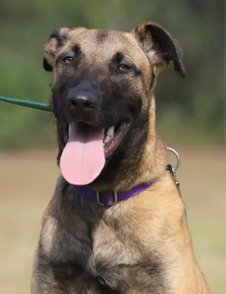 Kira