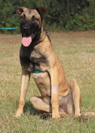 Kira