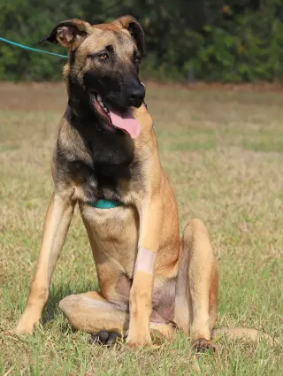 Kira