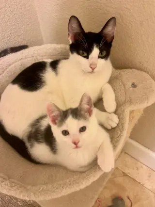 Avery (bonded w/ Emery)