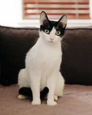 Avery (bonded w/ Emery)