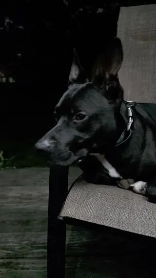 CASH
