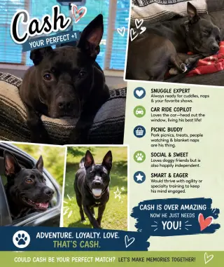 CASH
