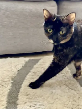 HERMIONE
