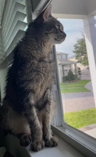 Mr. Whiskers 5.1.21