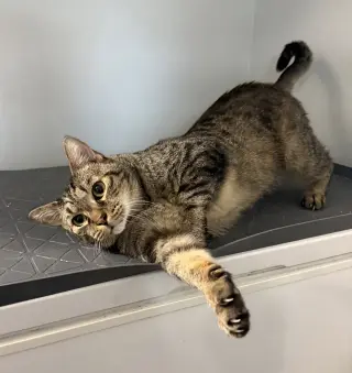 Mr. Whiskers 5.1.21