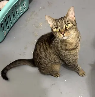 Mr. Whiskers 5.1.21