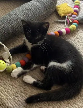 Stormie