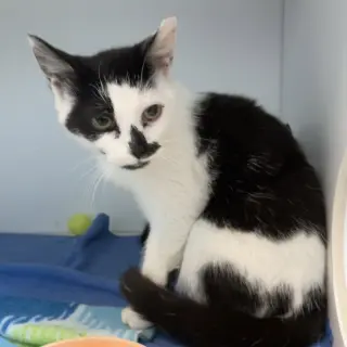 Jeannae - KBC (bonded with Monty)