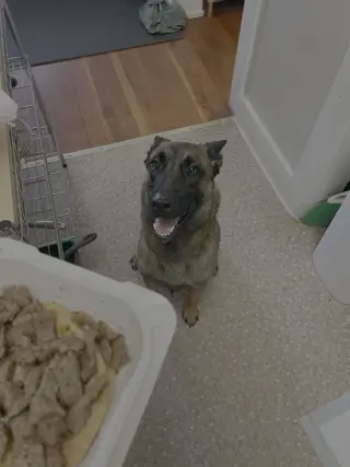 Molly - located in MO