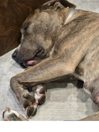 Lena