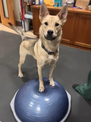 TAKA