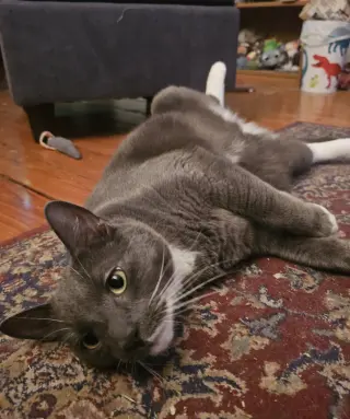 Bruce