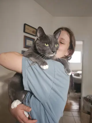 Bruce
