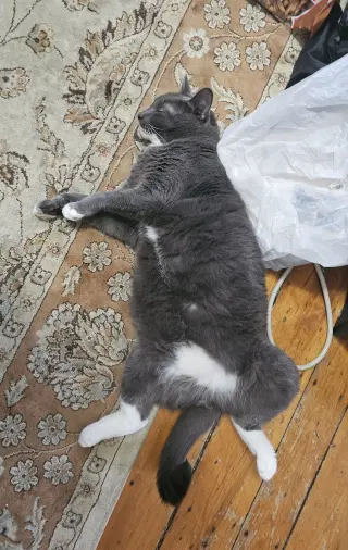 Bruce