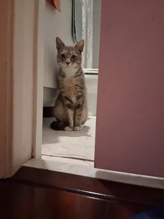 Charlie
