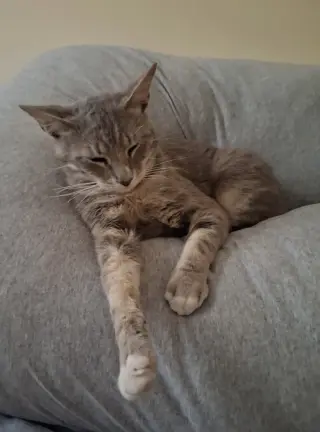 Charlie