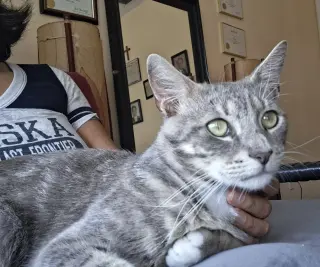 Charlie