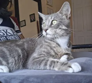 Charlie