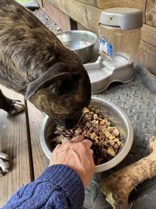 Brinnie (Courtesy)