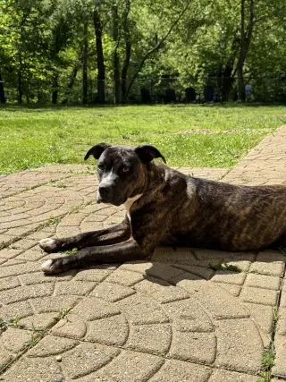 Brinnie (Courtesy)