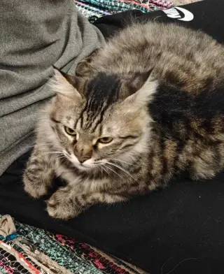 LiLi