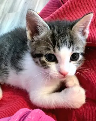 Lena