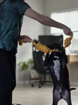 BLITZO