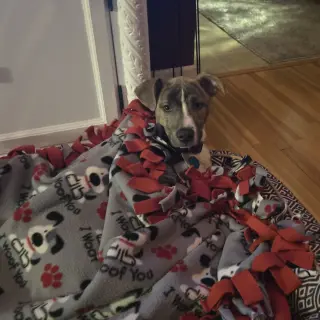 Kaiyah
