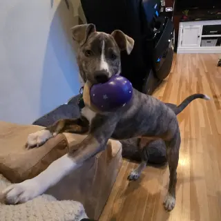 Kaiyah