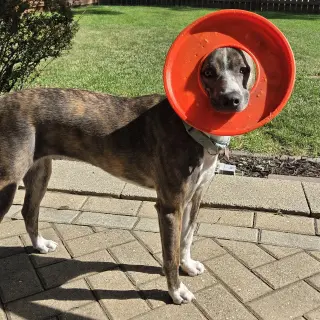 Kaiyah