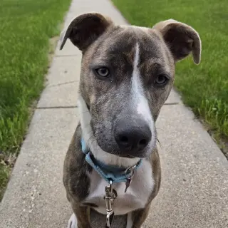 Kaiyah