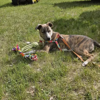 Kaiyah