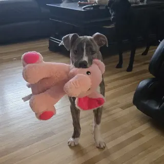Kaiyah