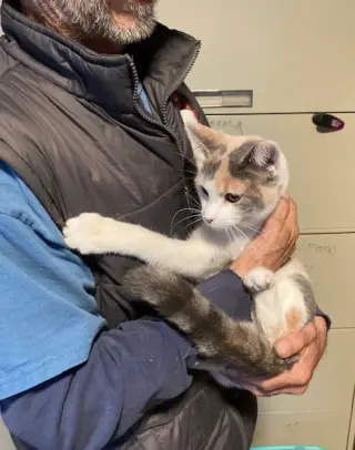 Blythe bonded with Marla