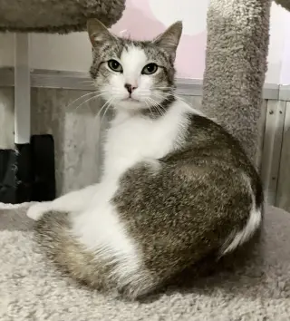 Timmy