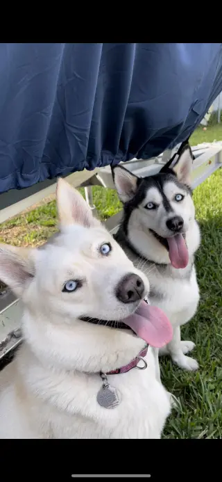 COURTESY POST: Sky & Elsa