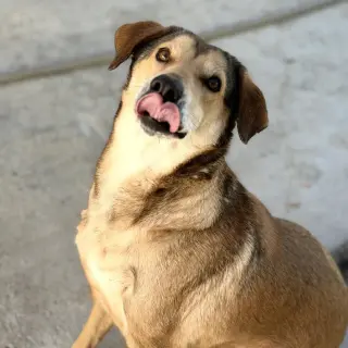 Moodonna
